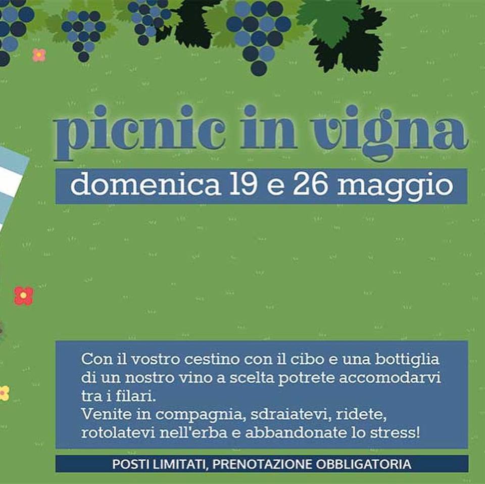 Picnic in vigna