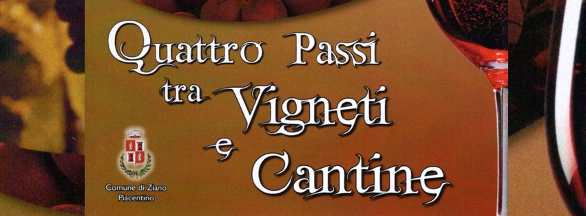 Quattro passi tra vigneti e cantine