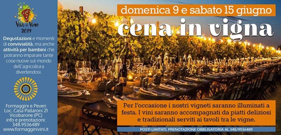 Cena in vigna