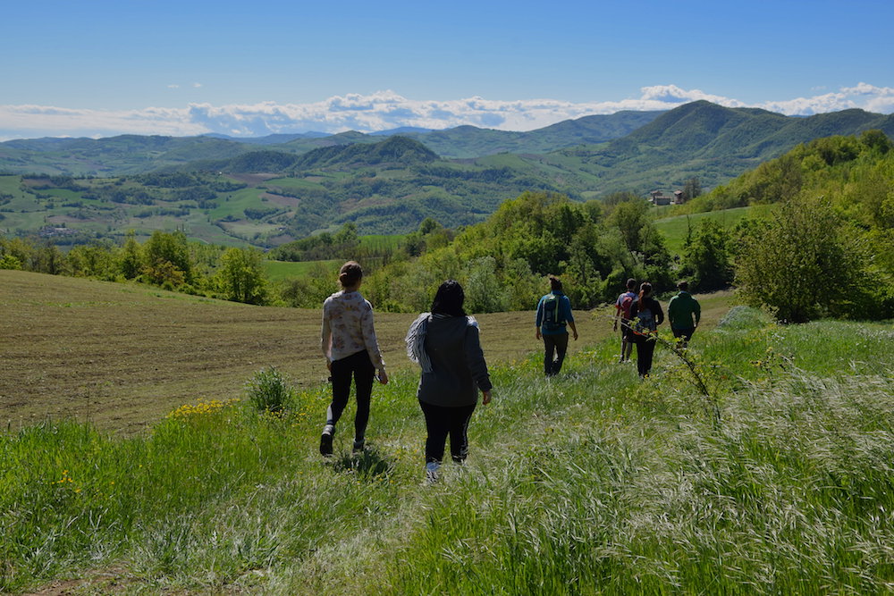 Passeggiate in collina a Piacenza Val Tidone
