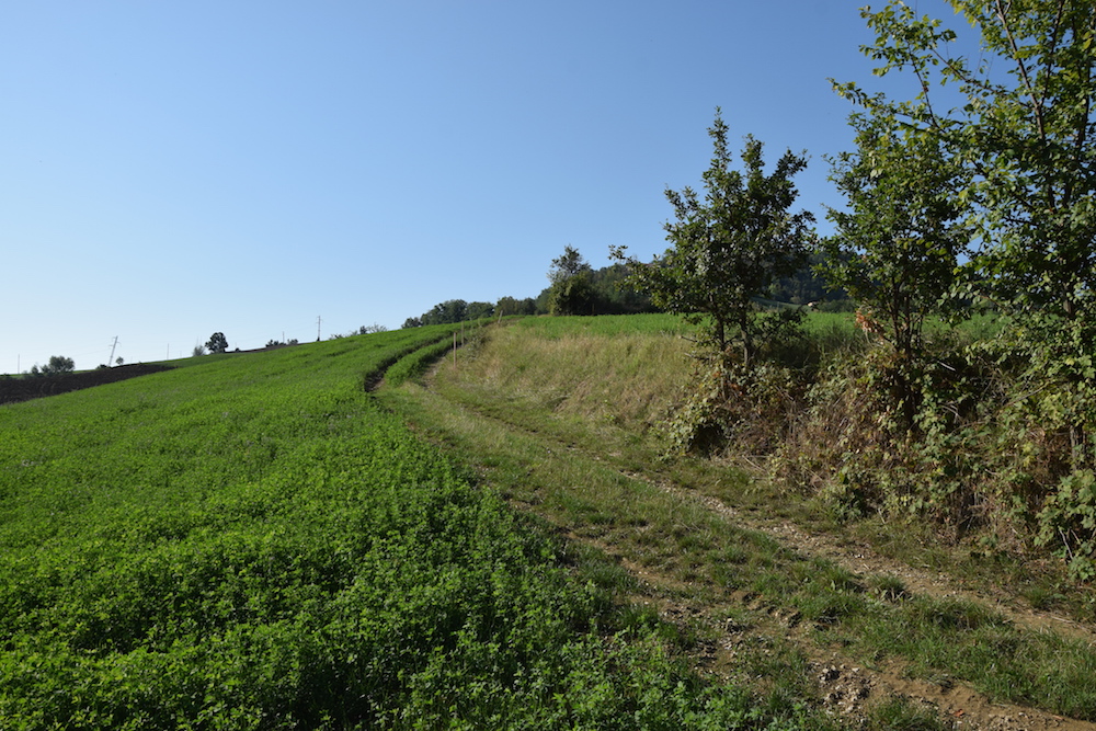 Sentiero CAI 223 Val Tidone