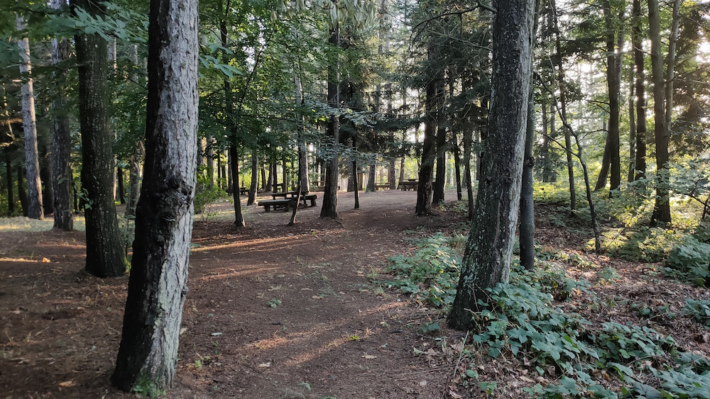 Giardino Alpino Pietra Corva - area attrezzata