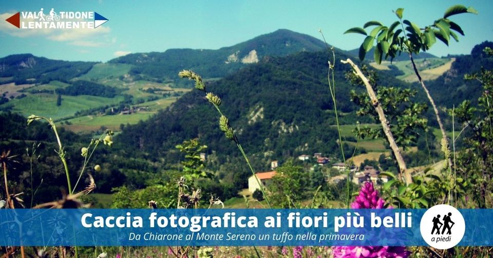 Caccia fotografica ai fiori più belli sul Sentiero del Tidone