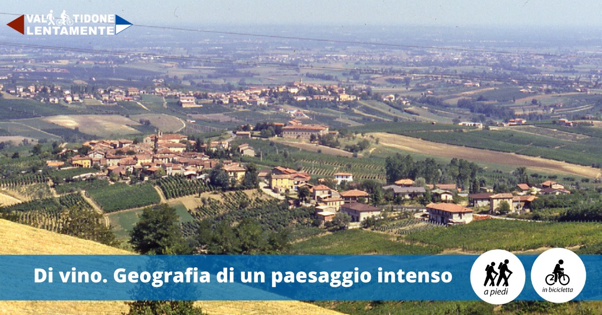 Di vino, geografia di un paessaggio intenso, Ziano Piacentino